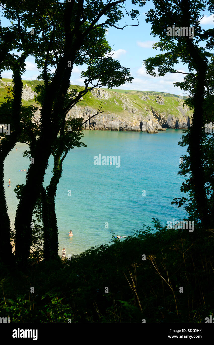 Barafundle Bay, Pembrokeshire, Wales Stockfoto