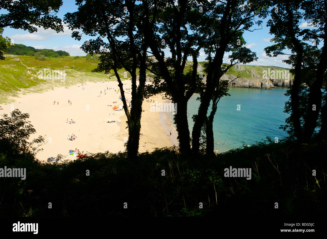Barafundle Bay, Pembrokeshire, Wales Stockfoto