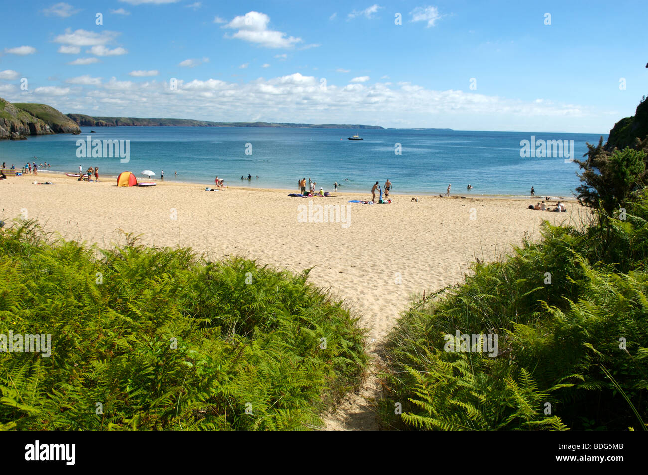 Barafundle Bay, Pembrokeshire, Wales Stockfoto
