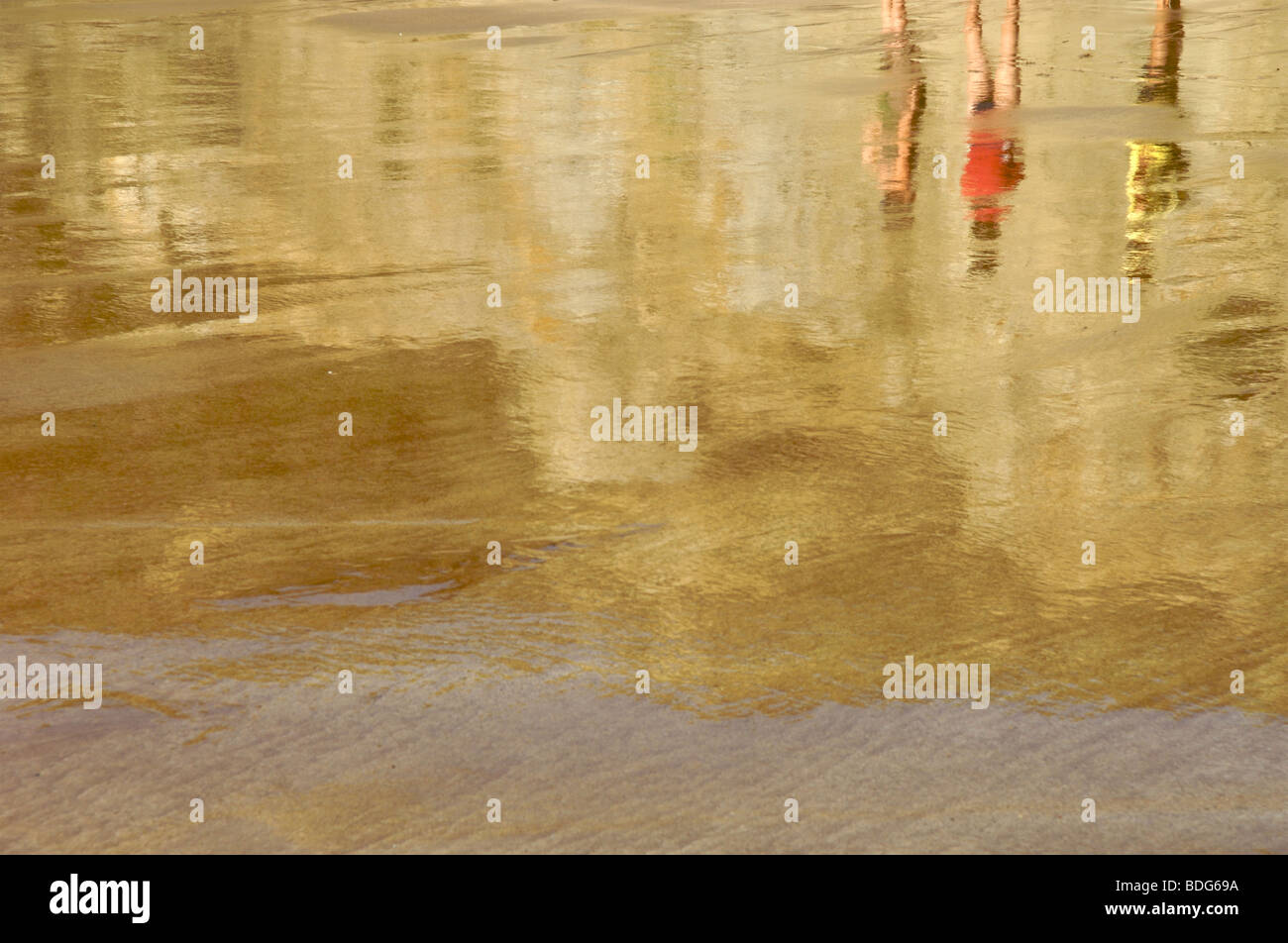 Reflexionen von Menschen am Strand Stockfoto