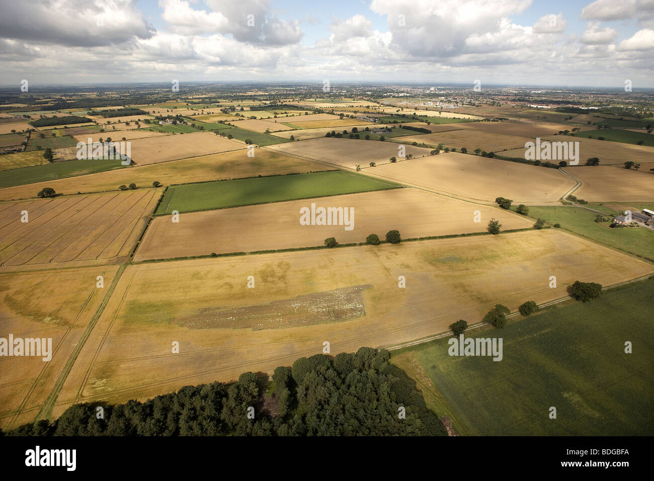Luftaufnahme von Ackerland Vale of York, North Yorkshire, UK Stockfoto