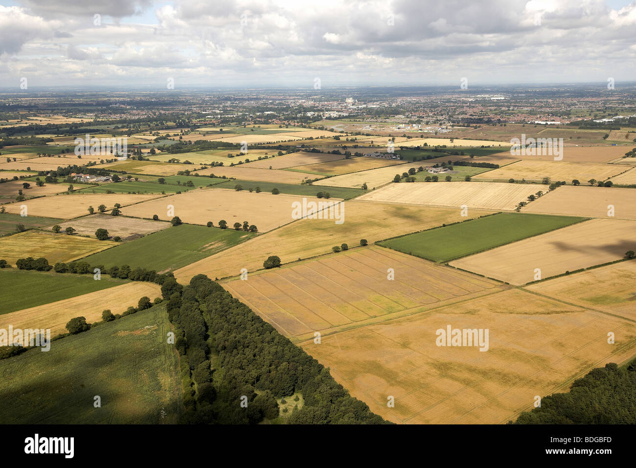 Luftaufnahme von Ackerland Vale of York, North Yorkshire, UK Stockfoto