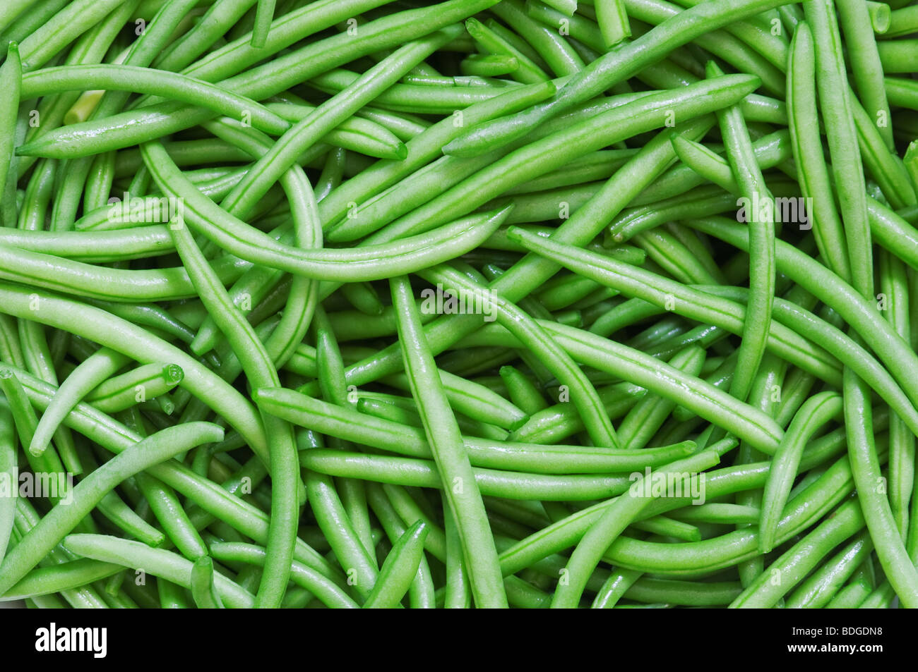 Grüne bohne -Fotos und -Bildmaterial in hoher Auflösung – Alamy