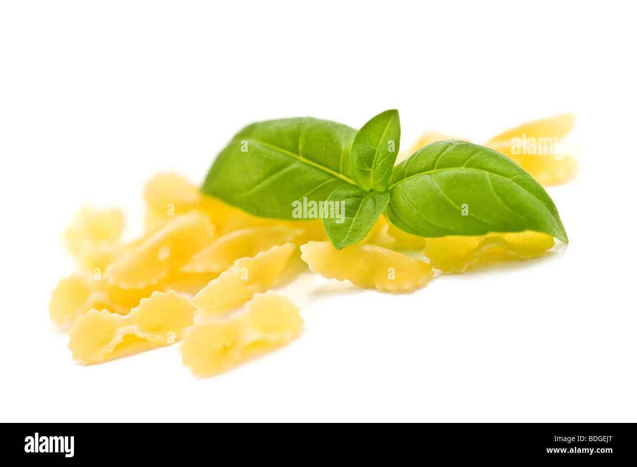 Pasta und Basilikum Zweig Stockfoto