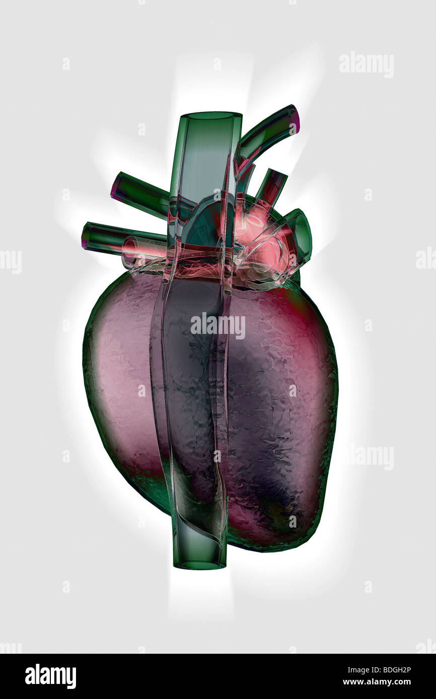 HERZ, ILLUSTRATION Stockfoto