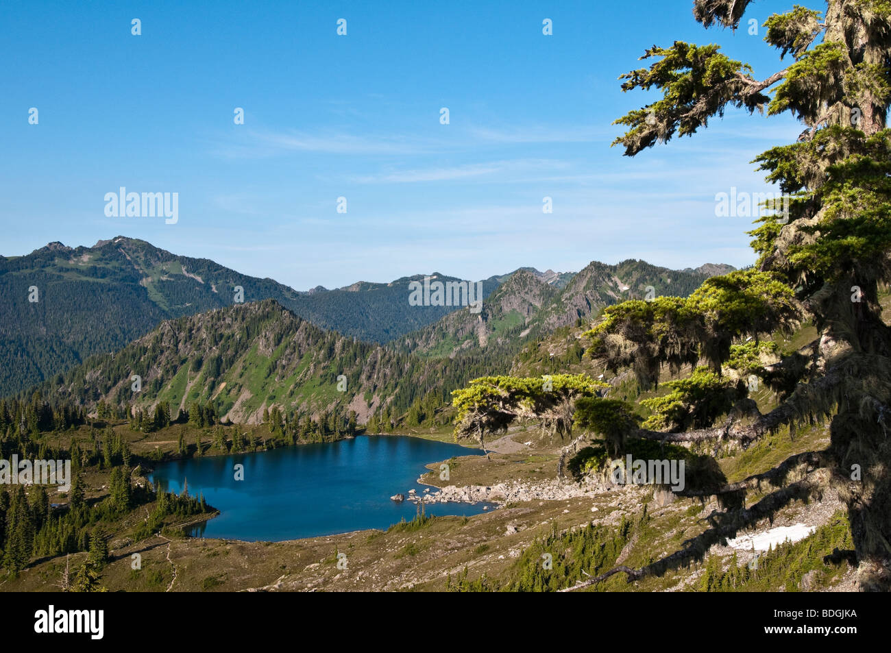 Mittagessen-See in der sieben-Seen-Becken, Olympic Nationalpark, Washington. Stockfoto