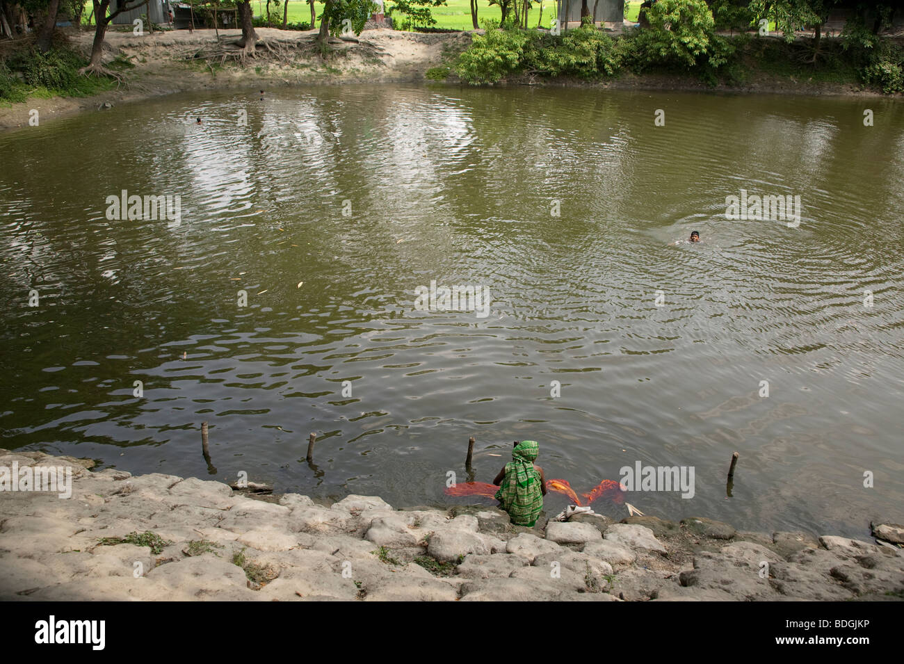 Frau waten im teich Fotos und Bildmaterial in hoher Auflösung Alamy