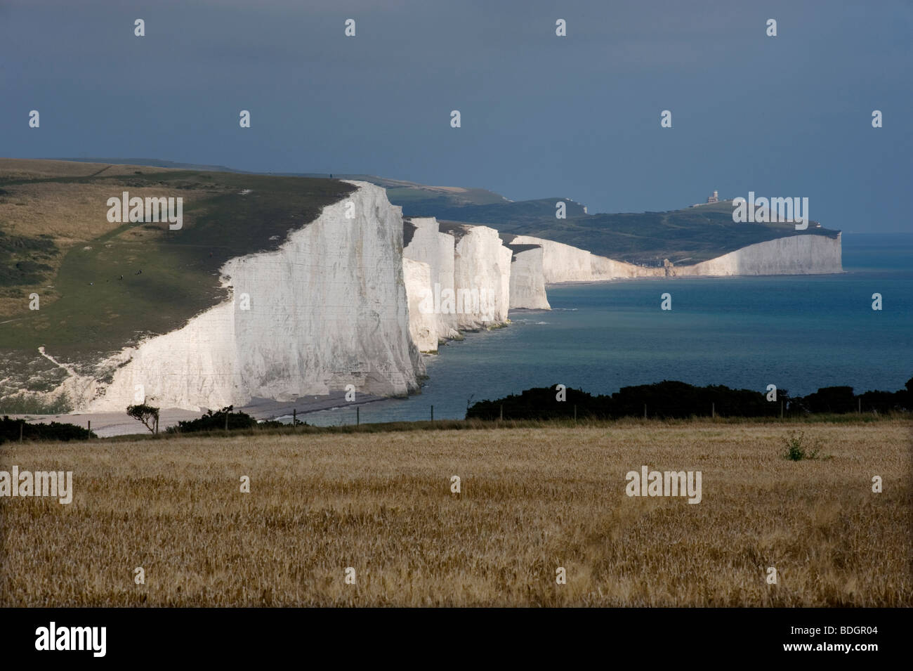 Sieben Schwestern Klippen Sussex Küste Kreide Küsten Erosion Birling Gap Seaford Kopf bröckeln Zusammenbruch Herbst verwalteten Retreat zu Fuß Stockfoto