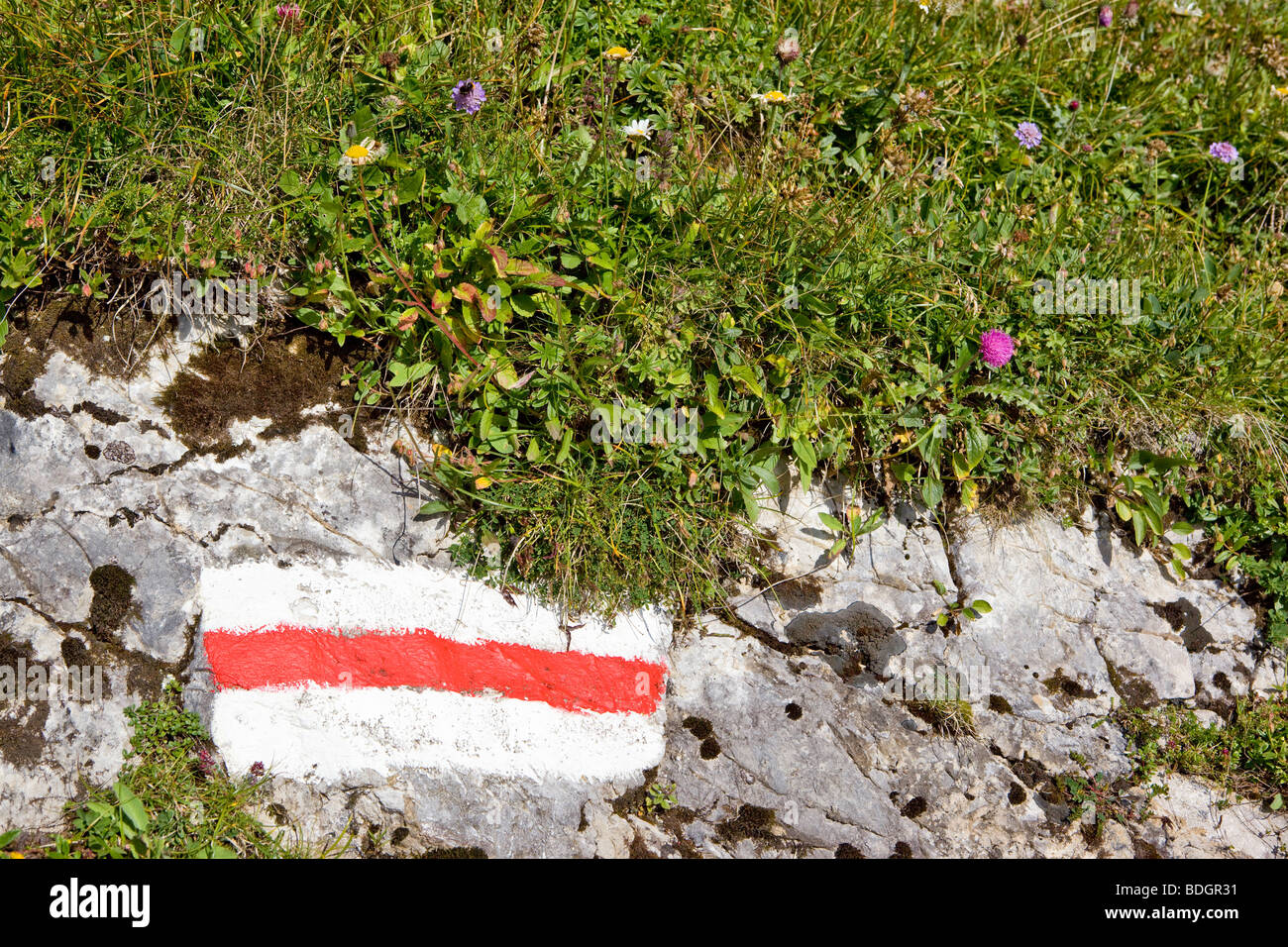 Bergwandern-Trail Orientierung Mark Schweiz Stockfoto