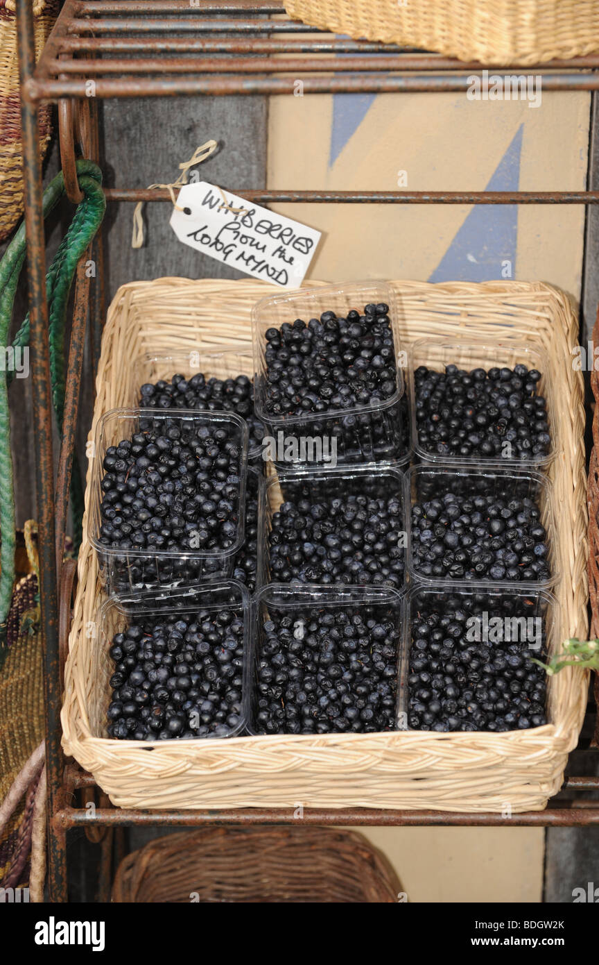Wilde Wimberries zu verkaufen Stockfoto