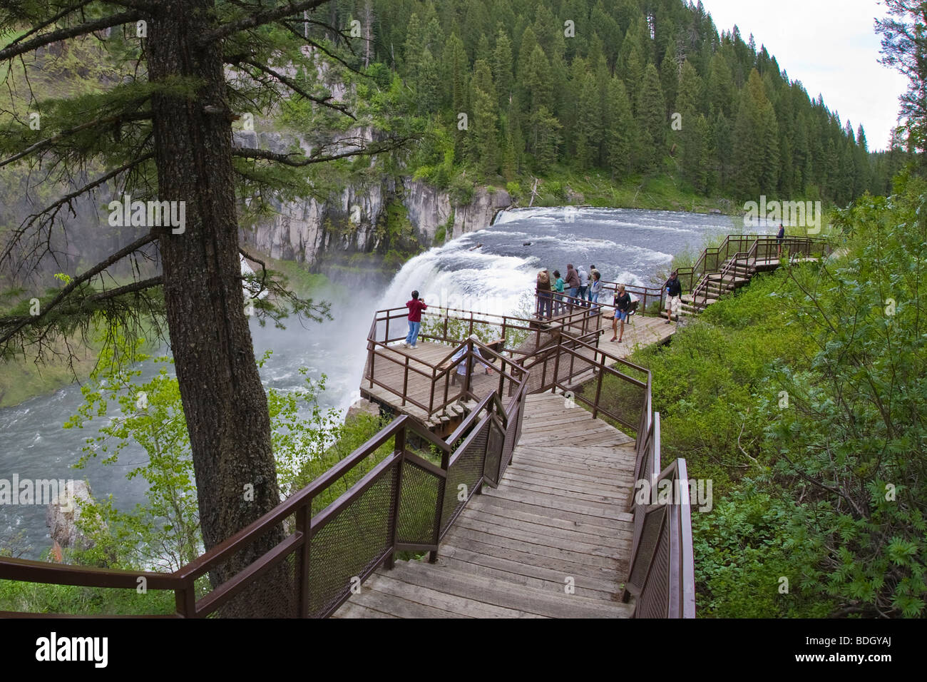 Upper Mesa Falls 114 Fuß hoch auf Henrys Fork des Snake River in Idaho Stockfoto