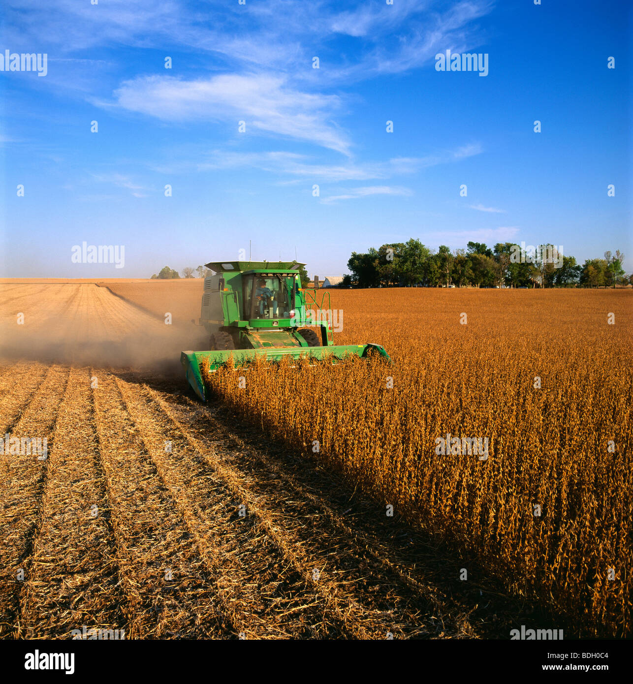 Landwirtschaft - John Deere Mähdrescher erntet Sojabohnen im späten Nachmittag Licht / Central Iowa, USA. Stockfoto