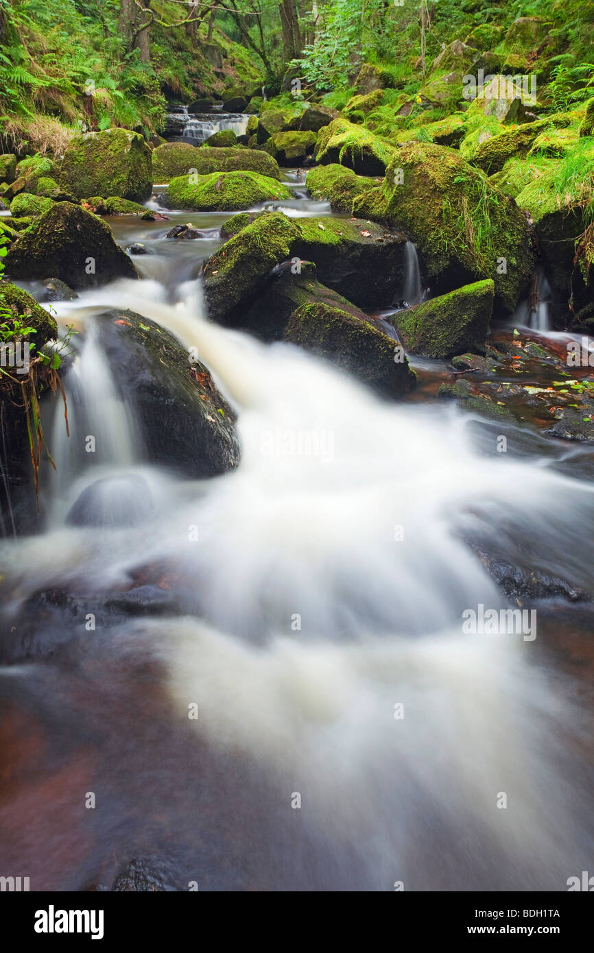 Burbage Bach durchquert Padley Schlucht in den Peak District National Park, Derbyshire, England, Vereinigtes Königreich Stockfoto