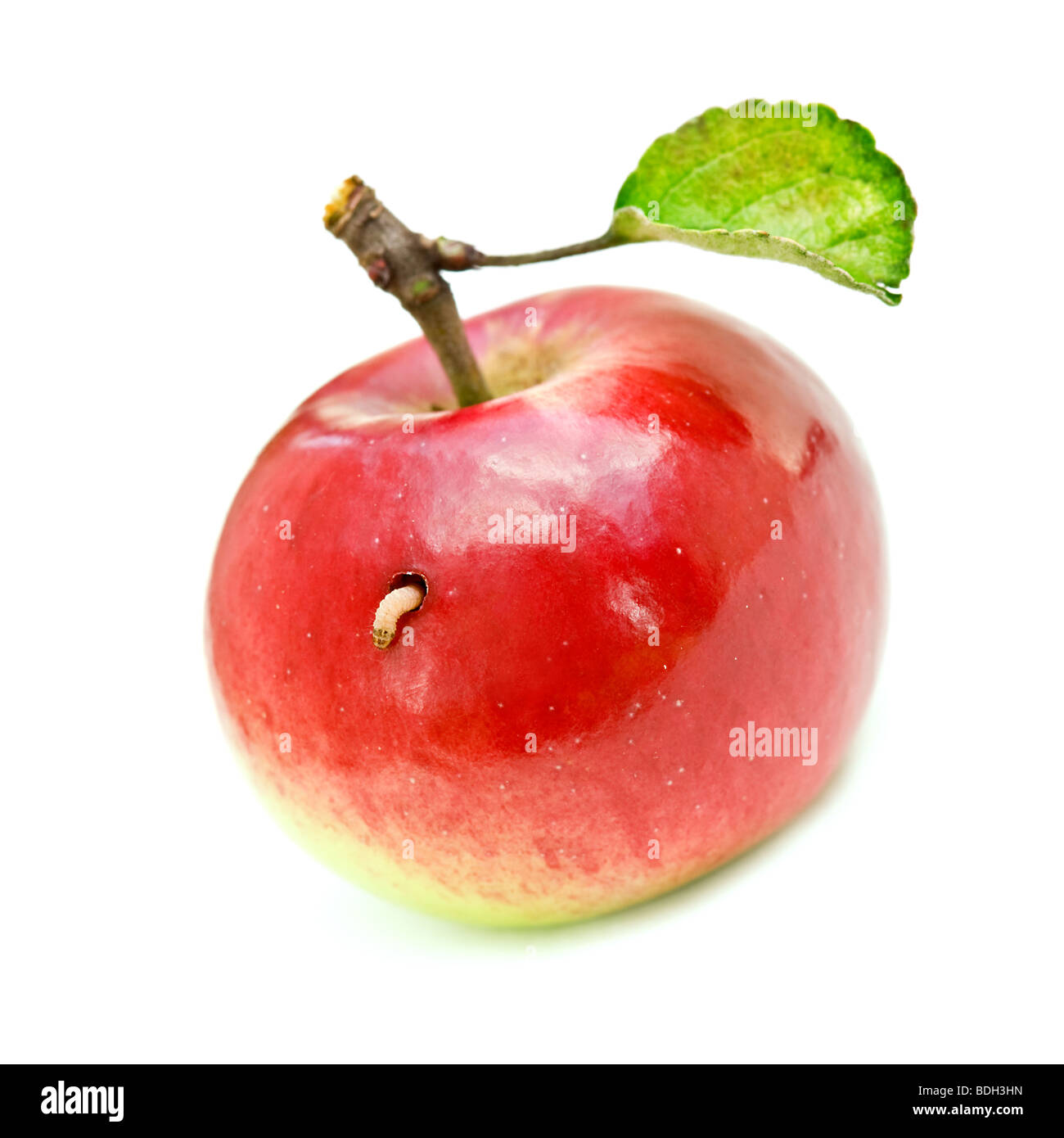 roter Apfel und kleinen Wurm Stockfoto