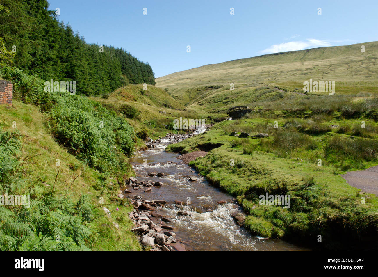 Der Beginn der Wanderung bis Pen Y Fan, der höchste Berg in Großbritannien, Brecon Beacons, Südwales Stockfoto