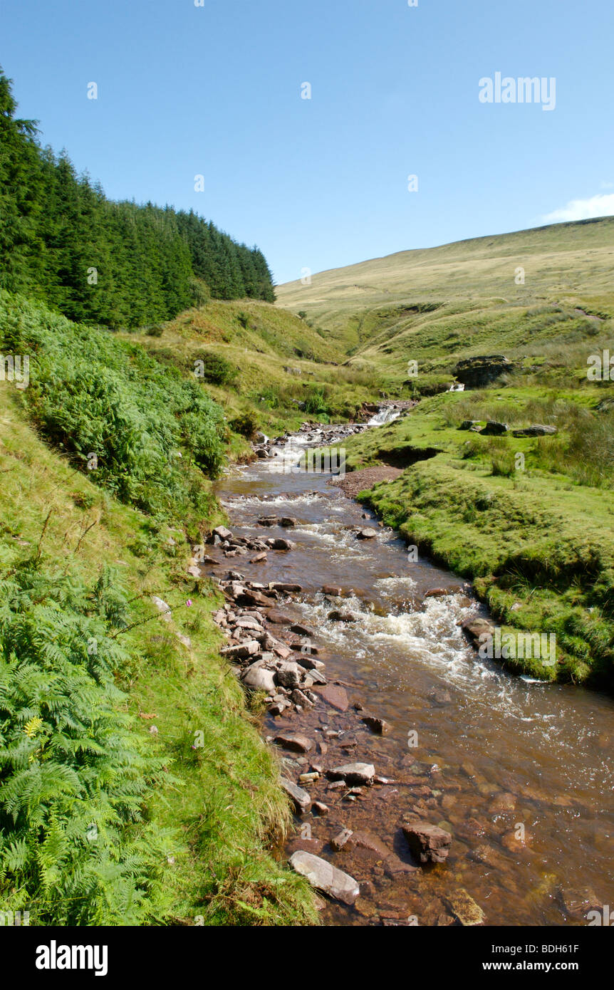 Der Beginn der Wanderung bis Pen Y Fan, der höchste Berg in Großbritannien, Brecon Beacons, Südwales Stockfoto