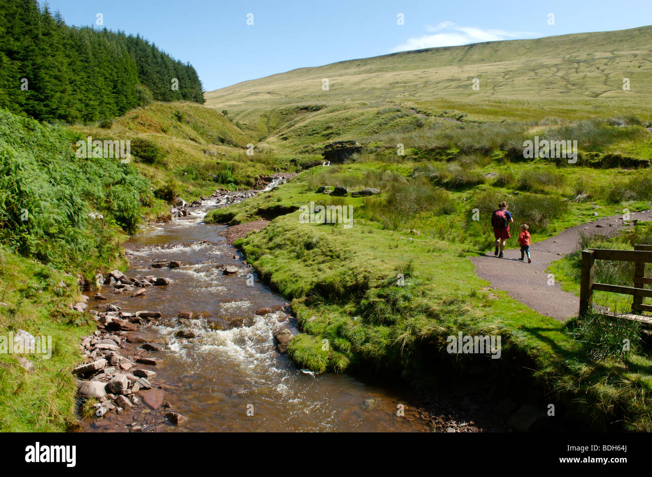 Der Beginn der Wanderung bis Pen Y Fan, der höchste Berg in Großbritannien, Brecon Beacons, Südwales Stockfoto