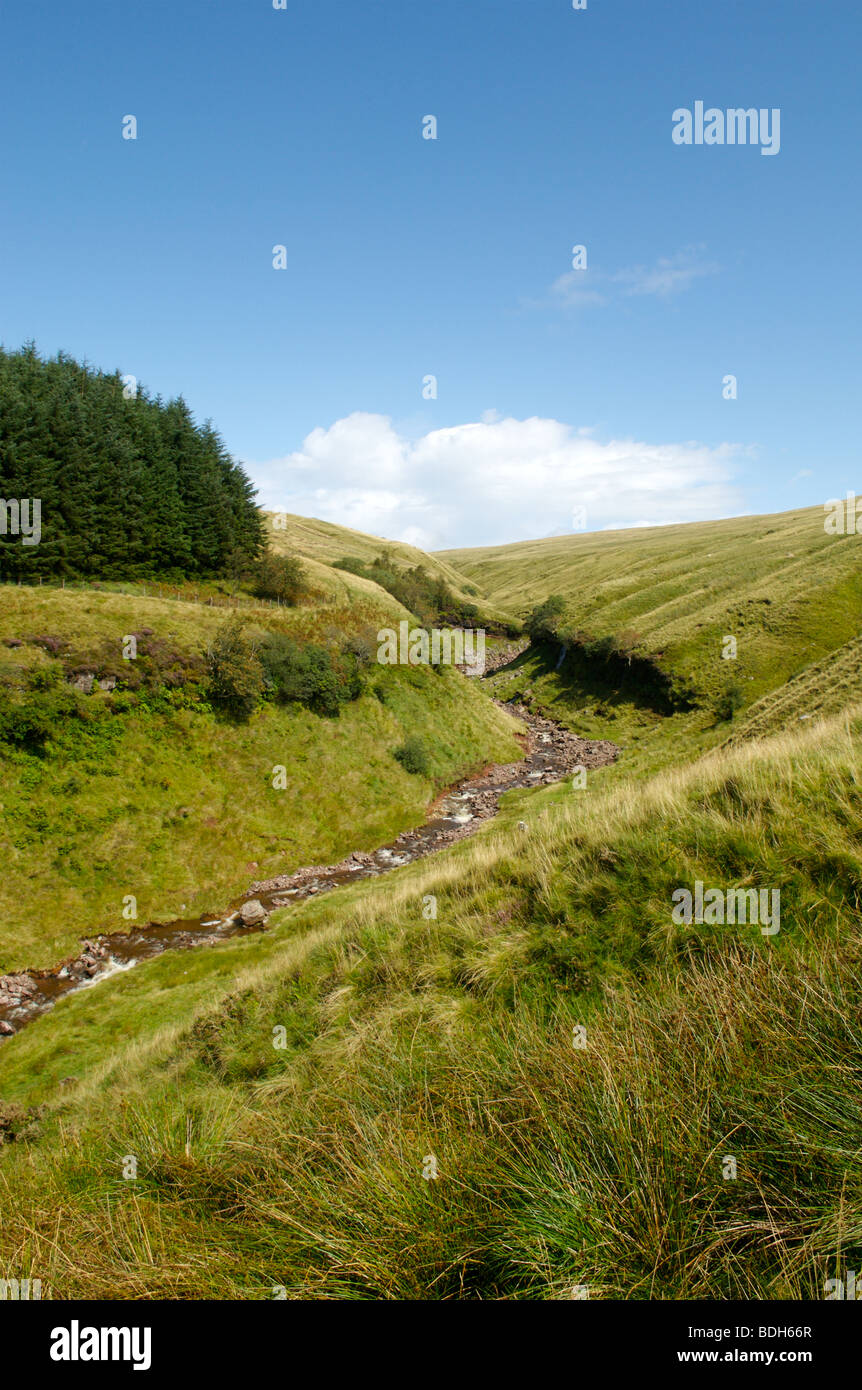 Der Beginn der Wanderung bis Pen Y Fan, der höchste Berg in Großbritannien, Brecon Beacons, Südwales Stockfoto