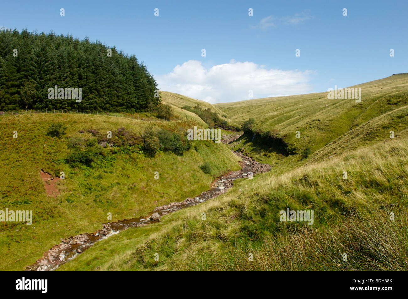 Der Beginn der Wanderung bis Pen Y Fan, der höchste Berg in Großbritannien, Brecon Beacons, Südwales Stockfoto