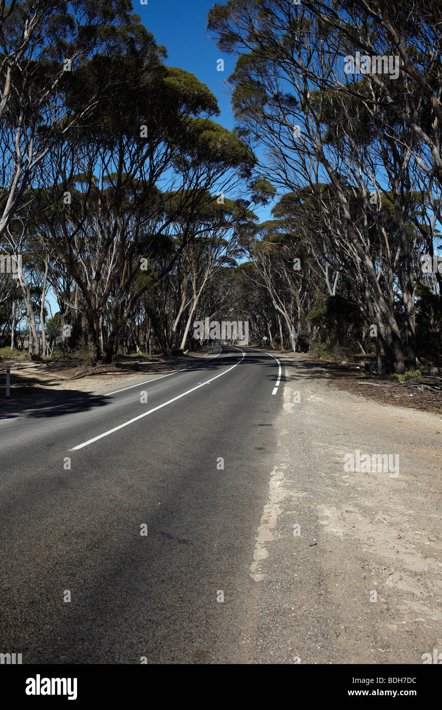 Kangaroo Island Road Stockfoto