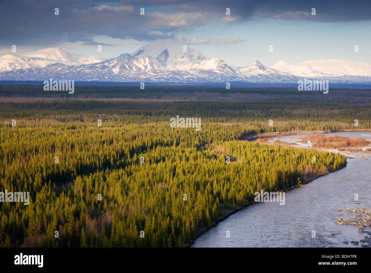 Mount Drum, Wrangell-St.-Elias-Nationalpark, Alaska. Stockfoto
