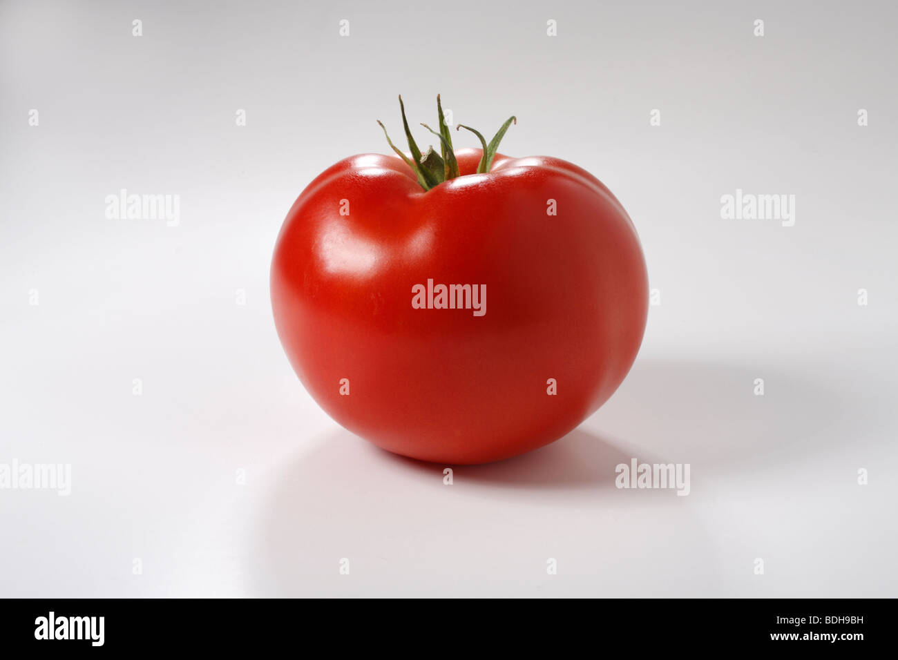 Rote Tomate Stockfoto