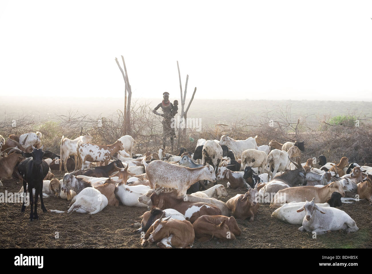 Eine Frau mit Kind steht am Rande einer Stecknadel voller Ziegen im hellen frühen Morgenlicht in der Wüste. Stockfoto