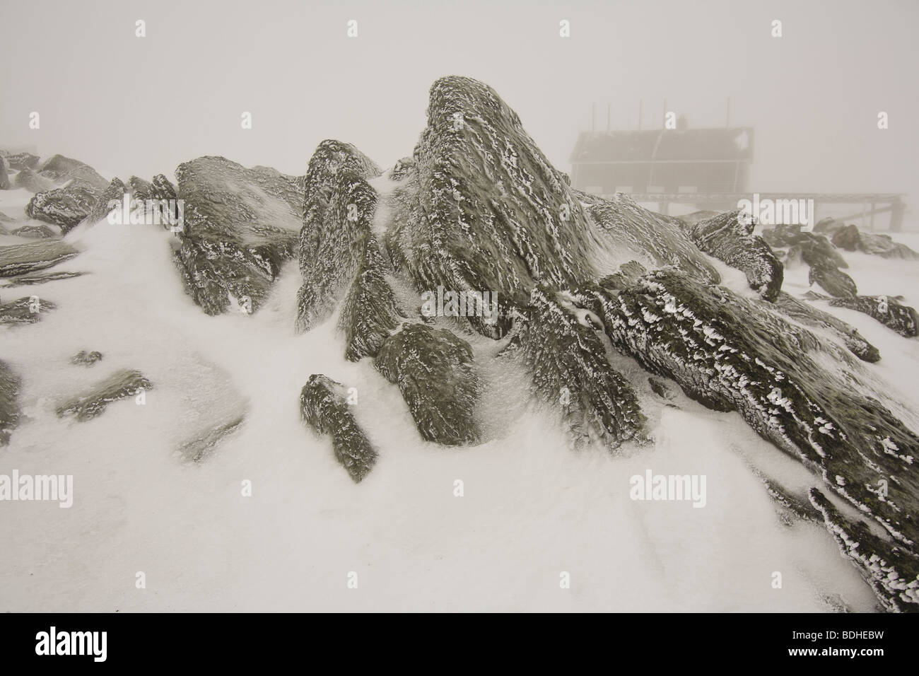Eine Gruppe von Menschen erlebt die schweren Elemente Wind und Temperatur auf Mt. Washington Gipfel im Winter. Stockfoto