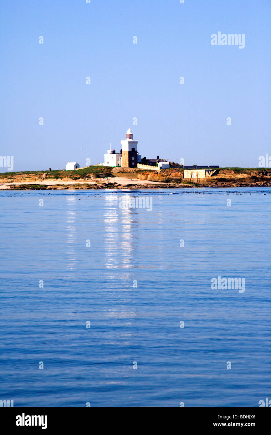 Coquet Island vom Hauxley Strand niedrige Hauxley Tölt Northumberland England Stockfoto