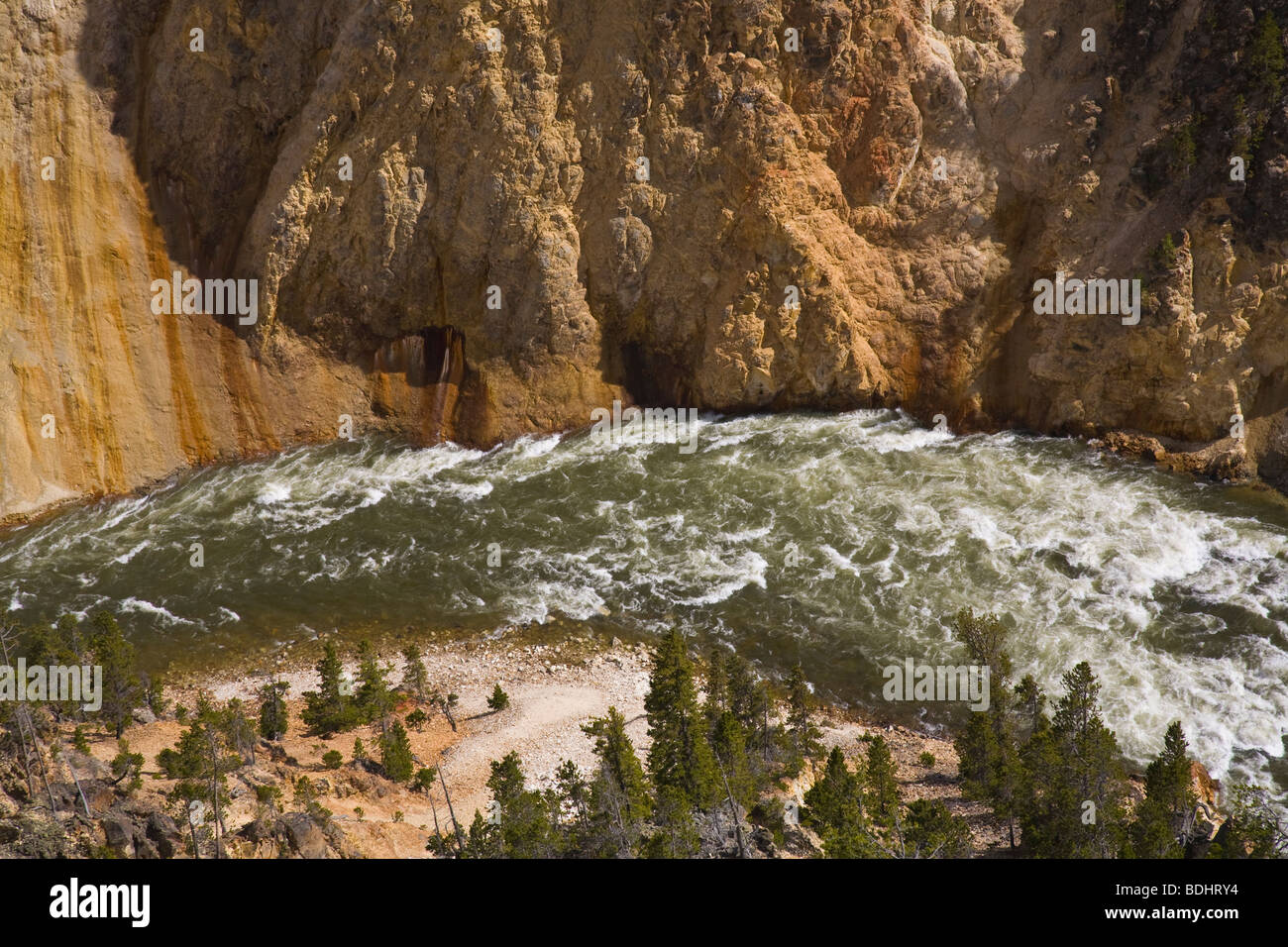 Yellowstone River im Grand Canyon von Yellowstone im Yellowstone National Park in Wyoming USA Stockfoto