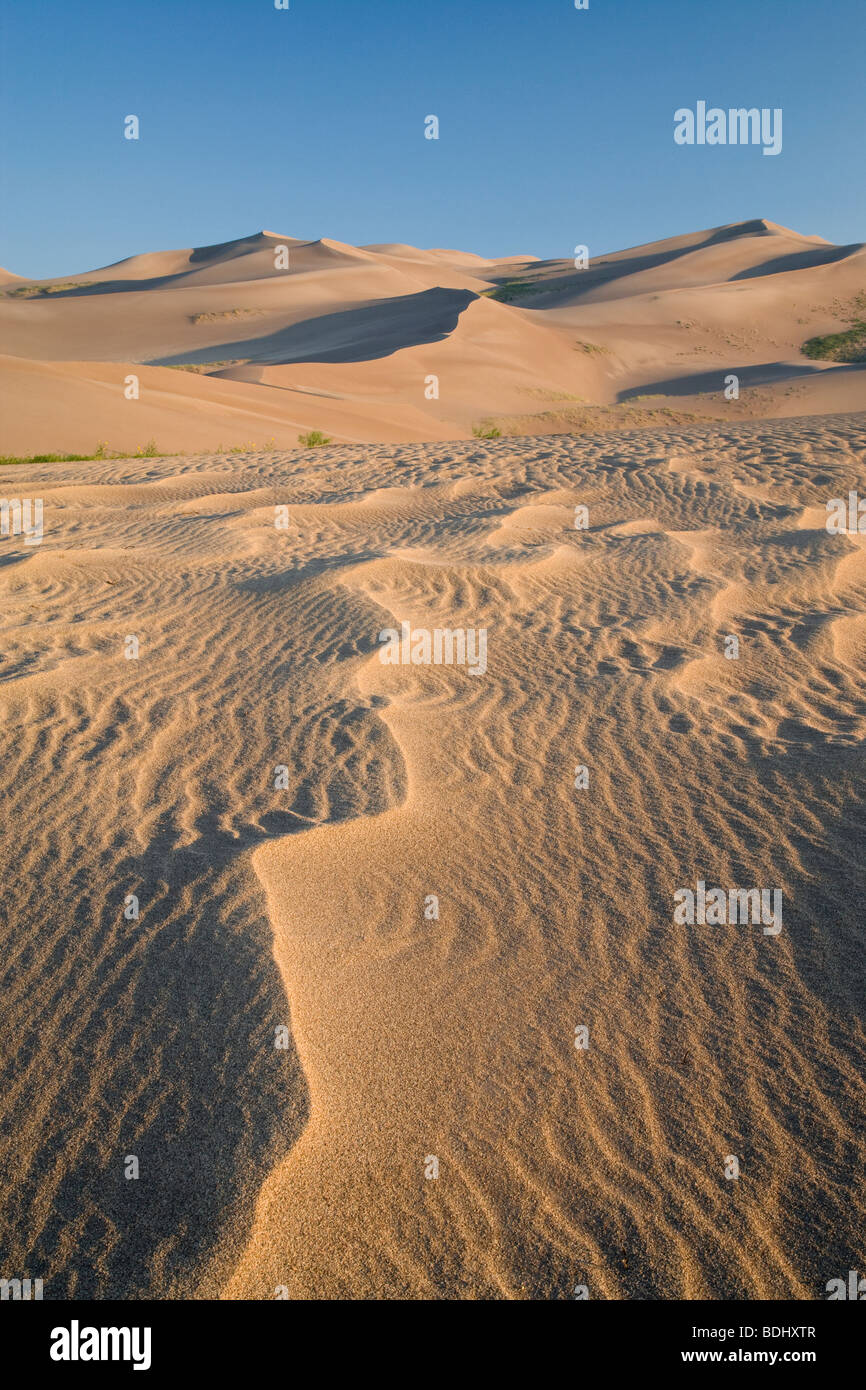 Sand, Muster und Dünen, Great Sand Dunes National Park, Colorado Stockfoto