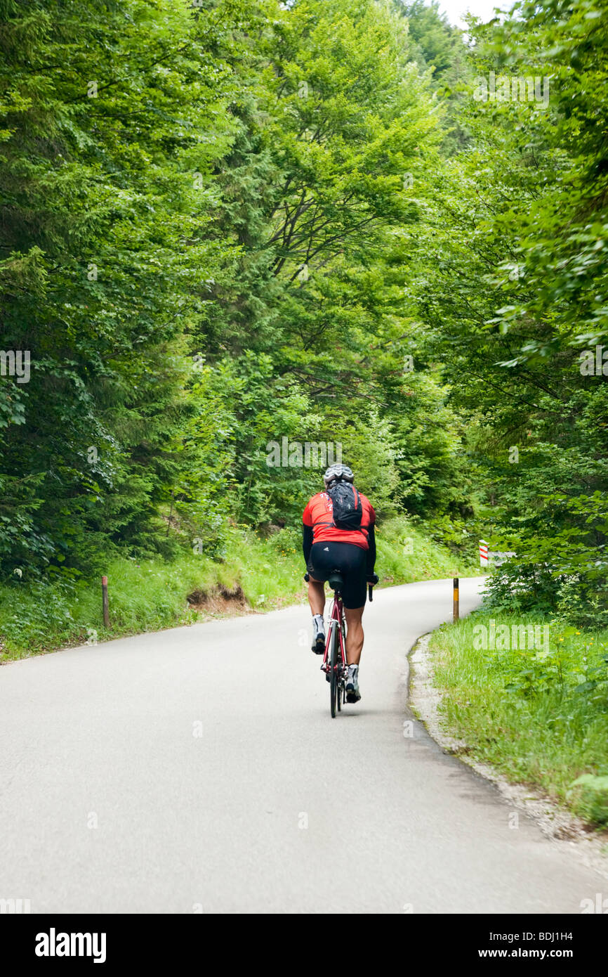 Einsamer Radsportler, die auf einem bayerischen Waldweg im südlichen Deutschland Europa Stockfoto