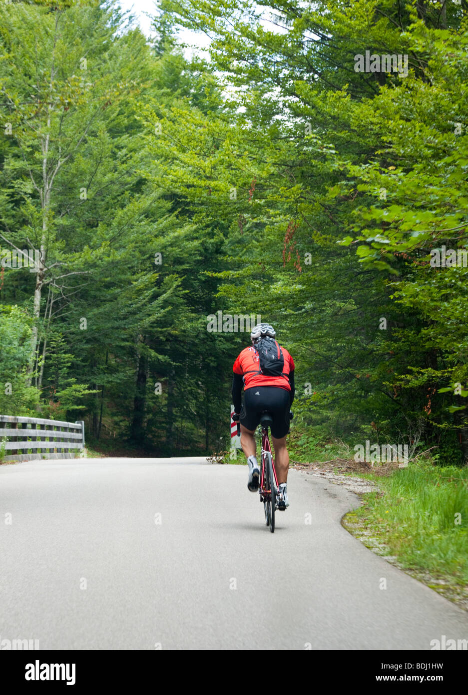 Einsamer Radsportler, die auf einem bayerischen Waldweg im südlichen Deutschland Europa Stockfoto