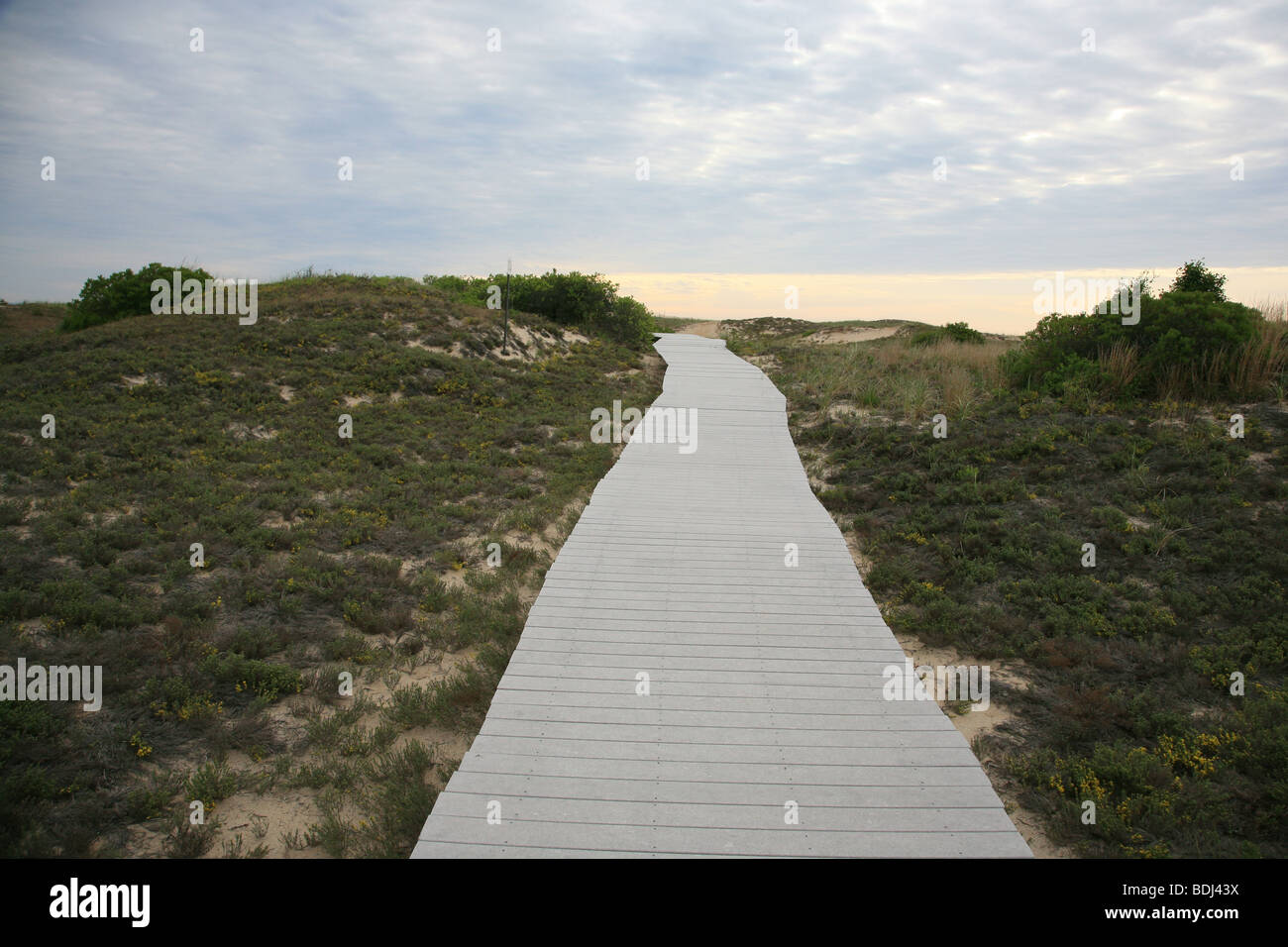 Promenade-Pfad an Blei-Insel Massachusetts.  Wanderwege sind häufig. Plumb Insel im Parker River Wildlife Reservat Stockfoto