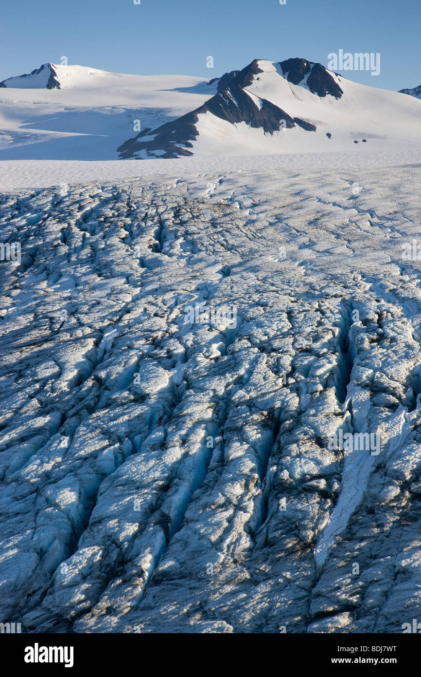 Harding Icefield, Kenai-Fjords-Nationalpark, Alaska. Stockfoto