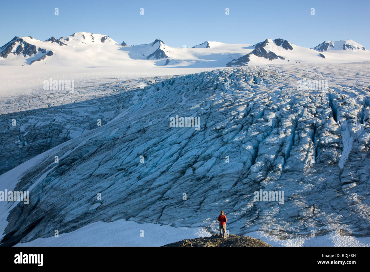 Ein Wanderer sieht das Harding Icefield, Kenai-Fjords-Nationalpark, Alaska. (Modell freigegeben) Stockfoto