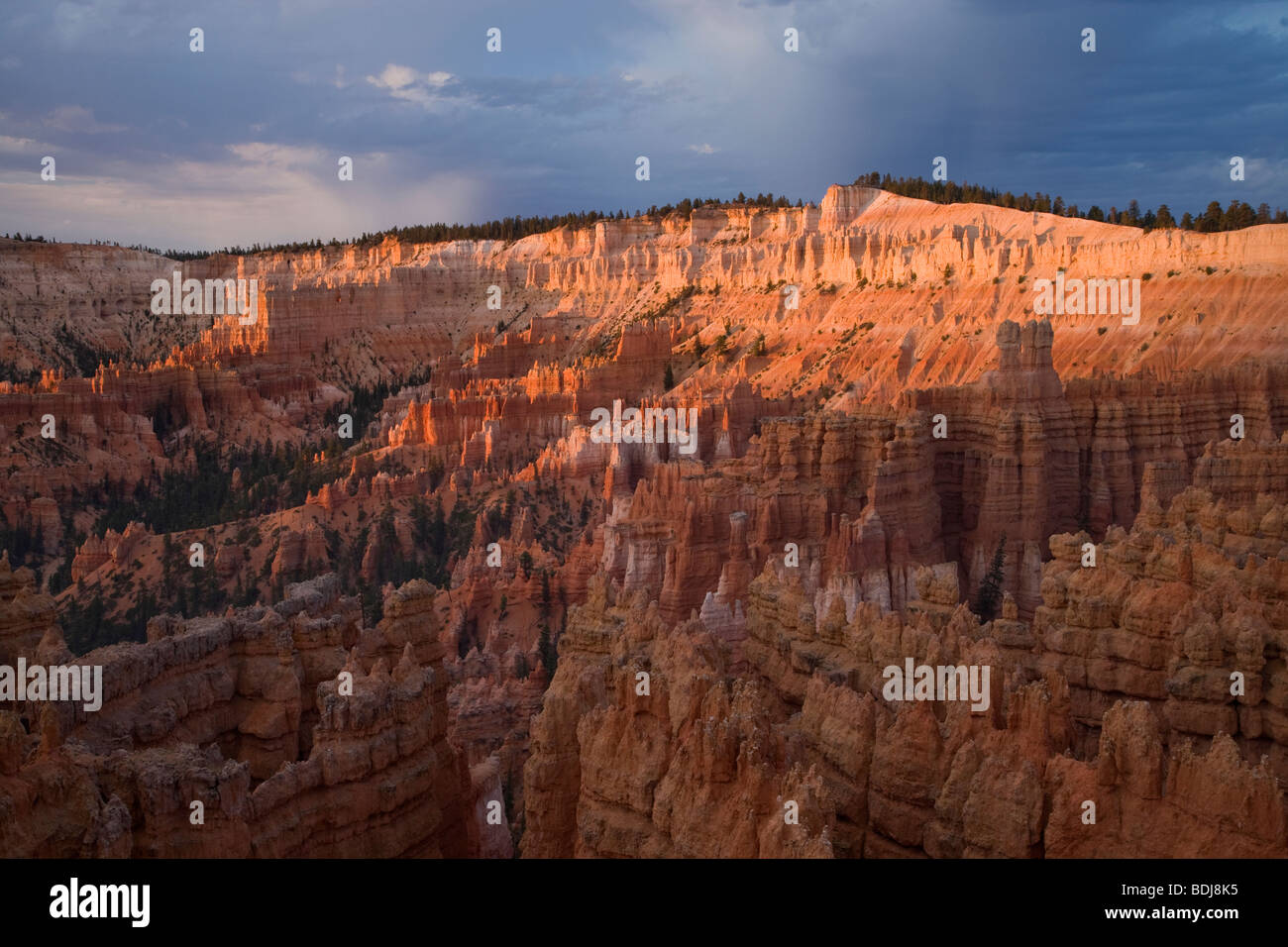 Bryce Amphitheater, Bryce-Canyon-Nationalpark, Utah Stockfoto