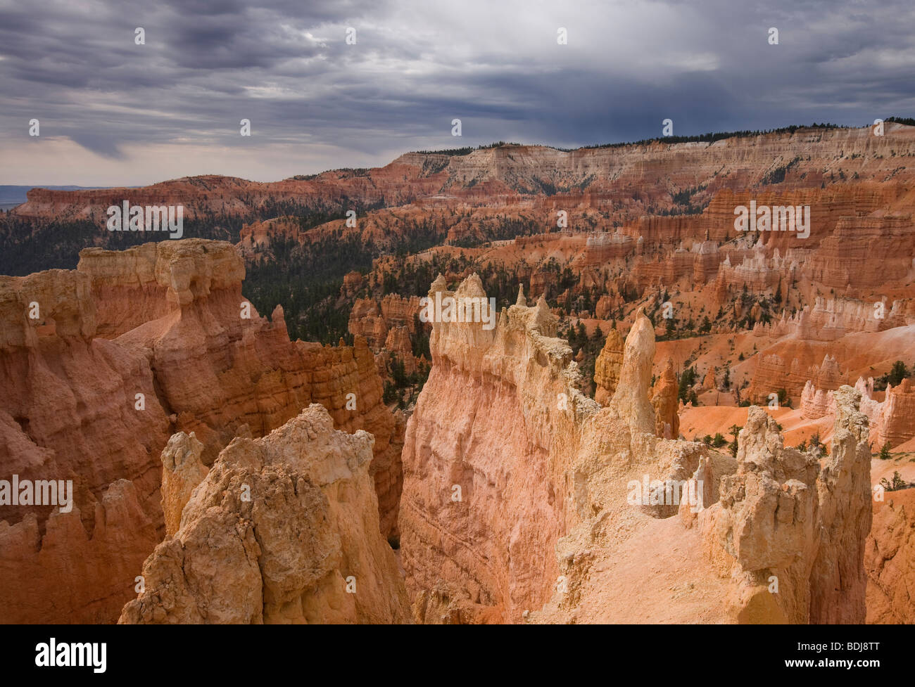 Bryce Amphitheater, Bryce-Canyon-Nationalpark, Utah Stockfoto