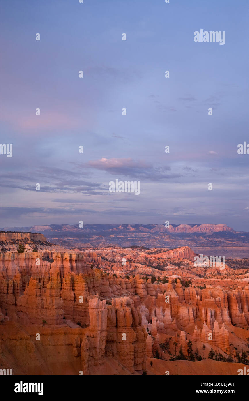 Bryce Amphitheater, Bryce-Canyon-Nationalpark, Utah Stockfoto