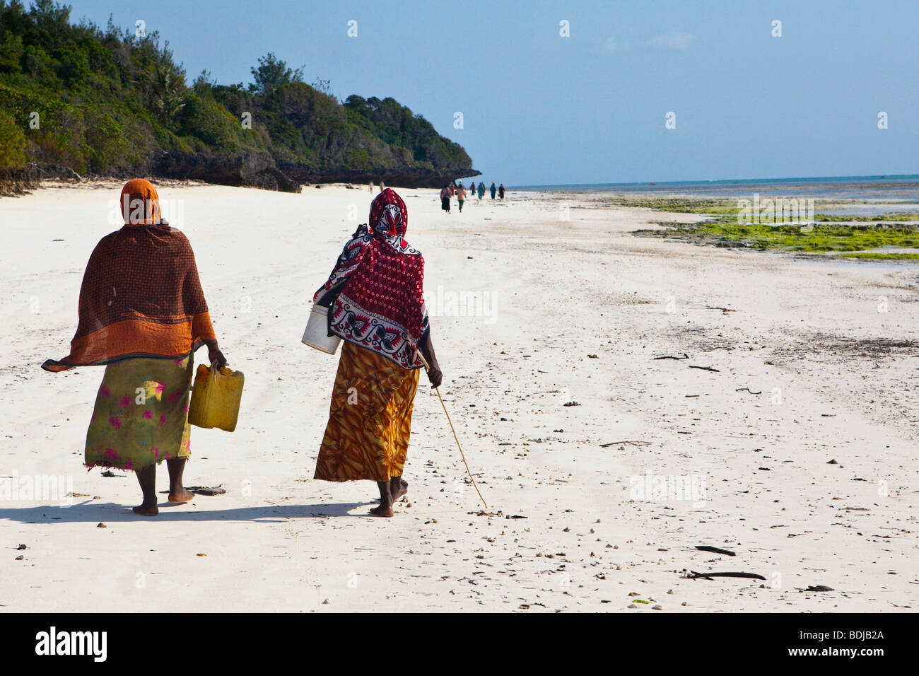 Frauen tragen ihren gefangenen Fisch in Eimer auf ihre Köpfe, Sansibar, Tansania, Afrika Stockfoto