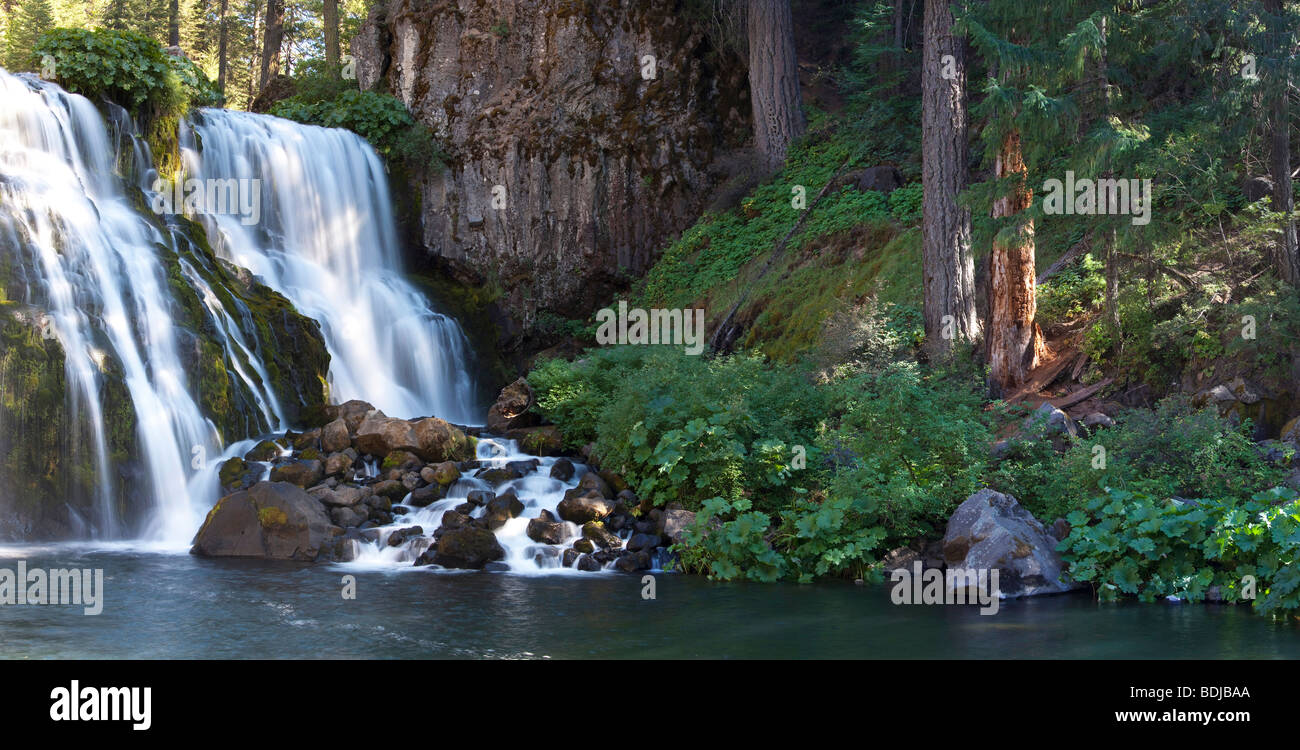 Mitte fällt, fallen in den McCloud River, Shasta-Dreiheit National Forest, McCloud, Siskiyou County, Kalifornien, USA Stockfoto