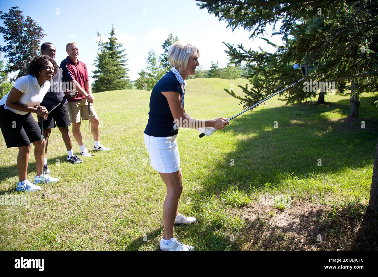 Gruppe von Golfern beobachtete Frau versuchen, Abrufen von Golfball von einem Baum Stockfoto