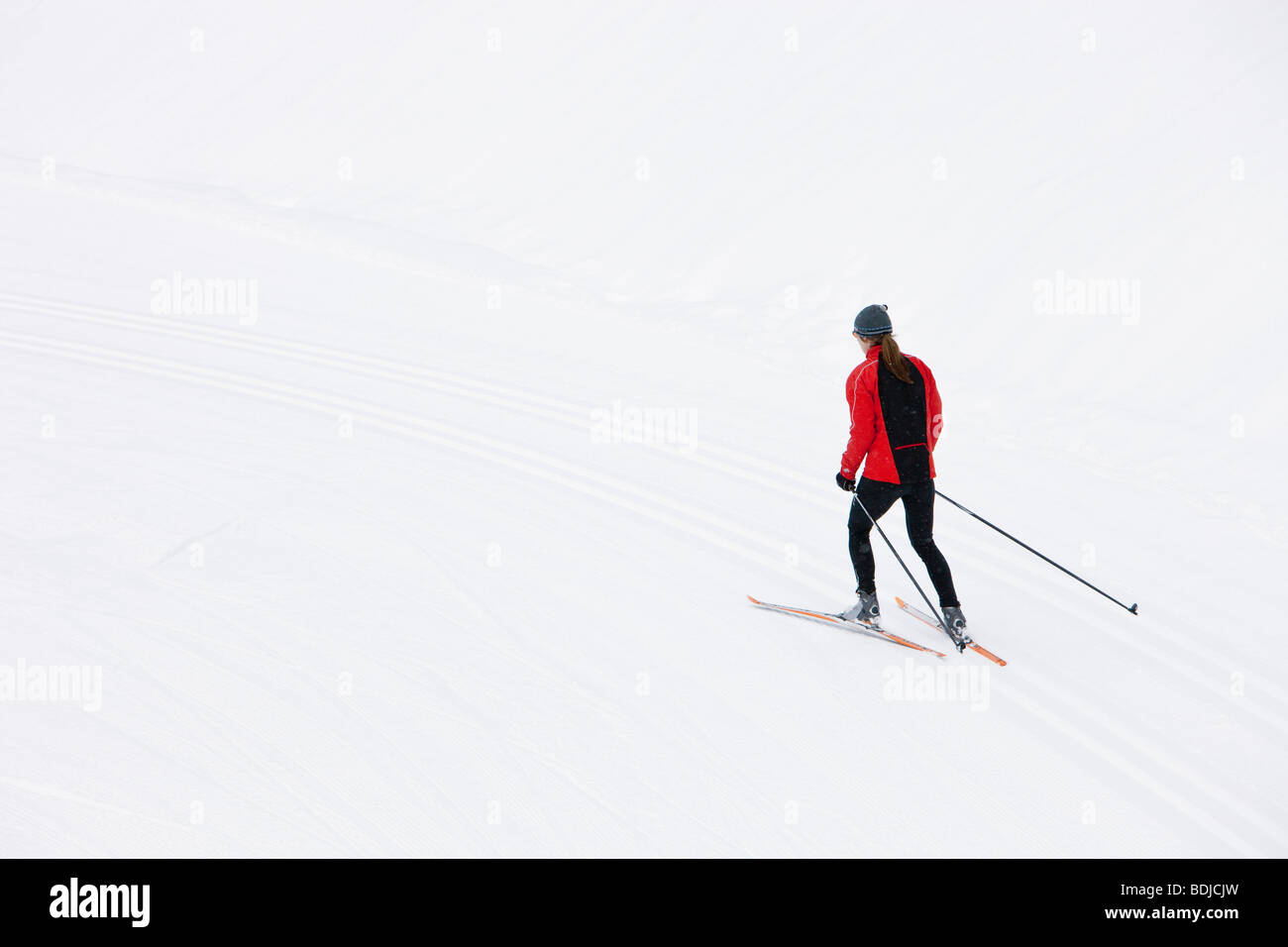 Rückansicht der Frau Cross Country Ski, Whistler, British Columbia, Kanada Stockfoto