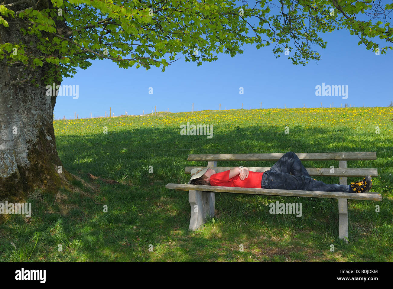 Jungen schlafen auf Bank, Schwarzwald, Baden Württemberg, Deutschland Stockfoto