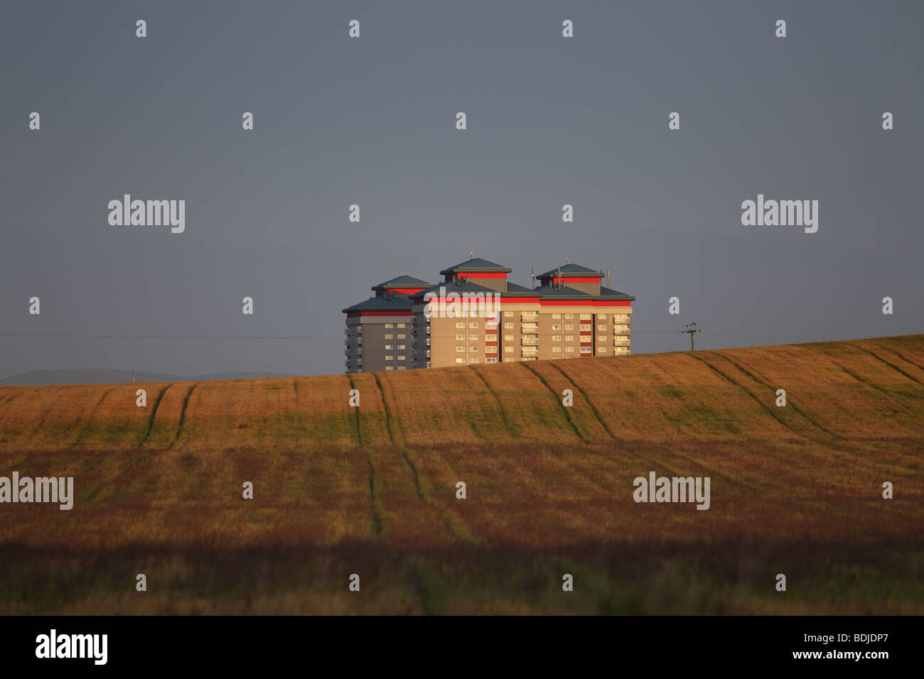 Soziale Wohntürme neben einem Farmfeld, Gallowhill, Paisley, Renfrewsire, Schottland, VEREINIGTES KÖNIGREICH Stockfoto