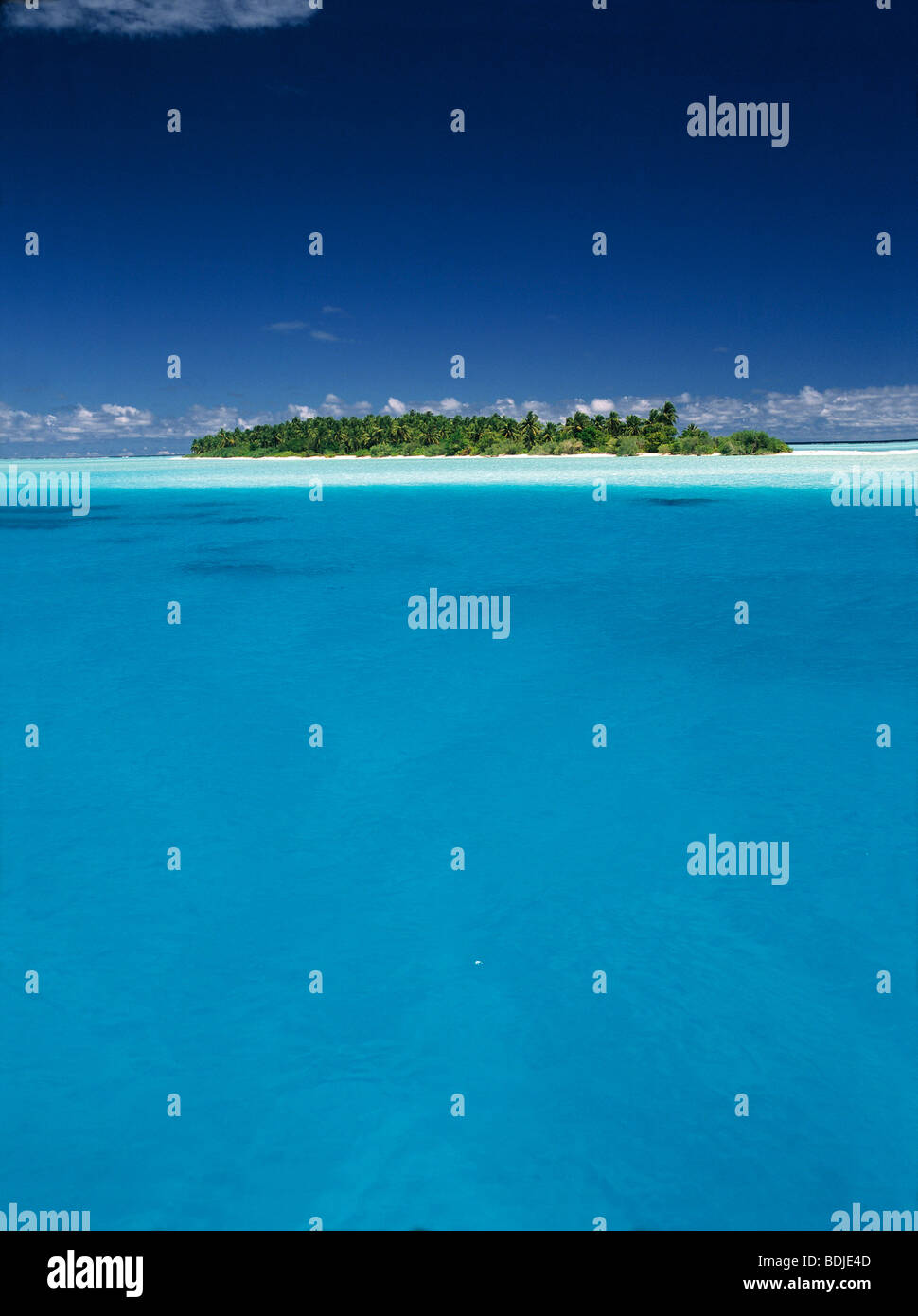 Tropical Seascape, Insel mit Kokospalmen Stockfoto