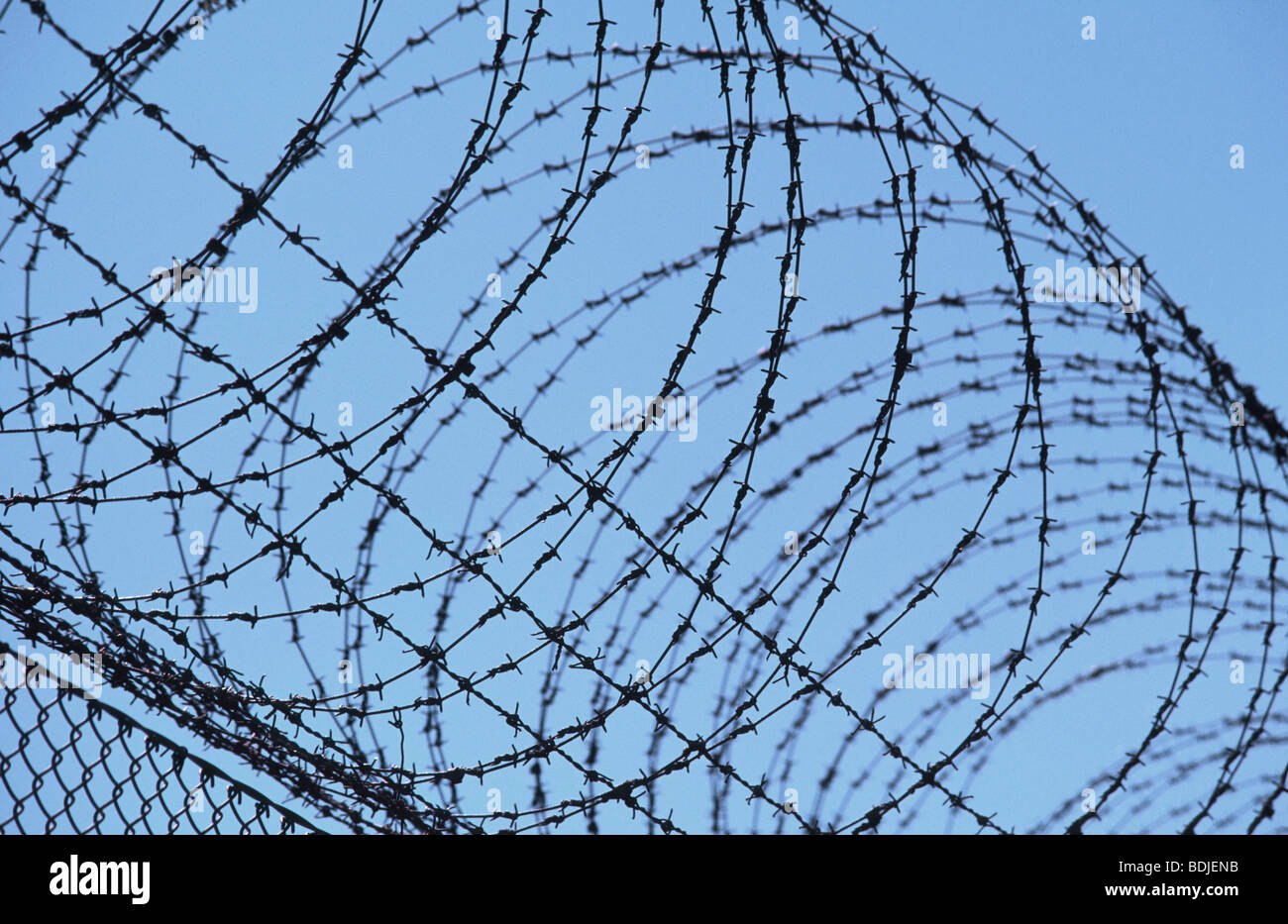 Stacheldrahtzaun Stockfoto