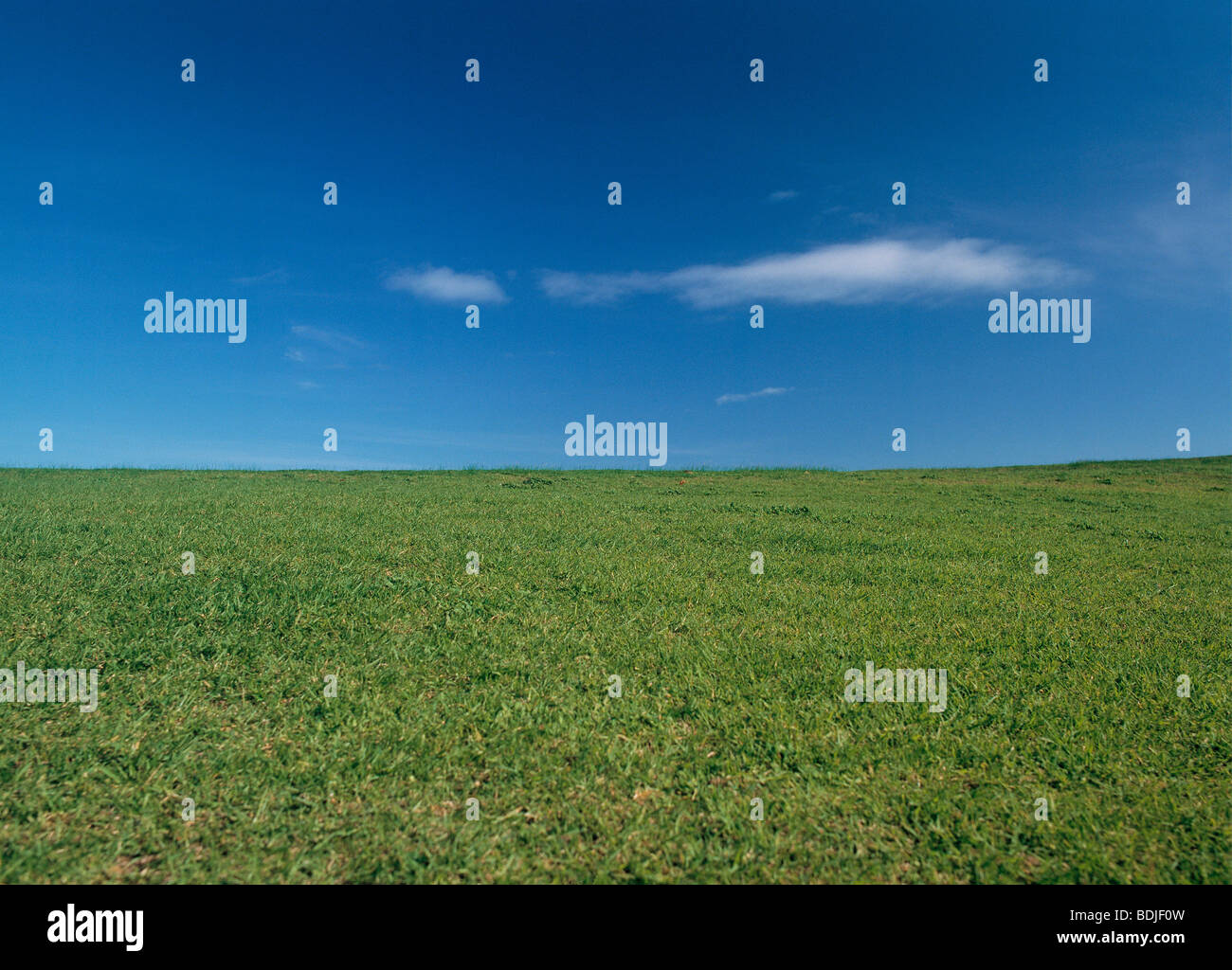 Grüne Landschaft mit blauem Himmel Stockfoto