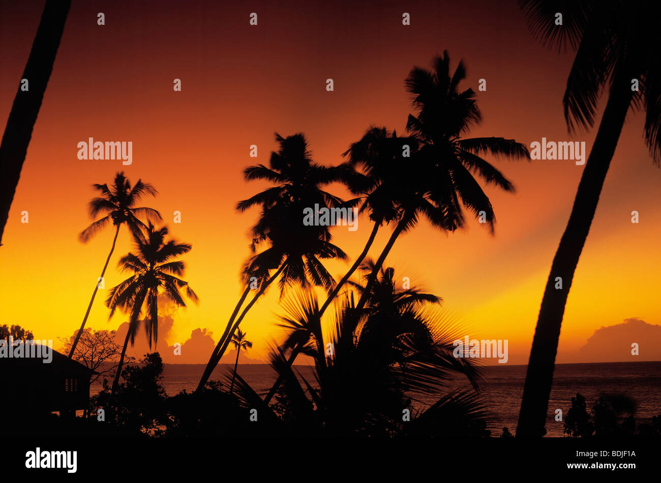 Tropcial Seascape, Sonnenuntergang, Kokosnuss-Palmen, westlichen Somoa Stockfoto