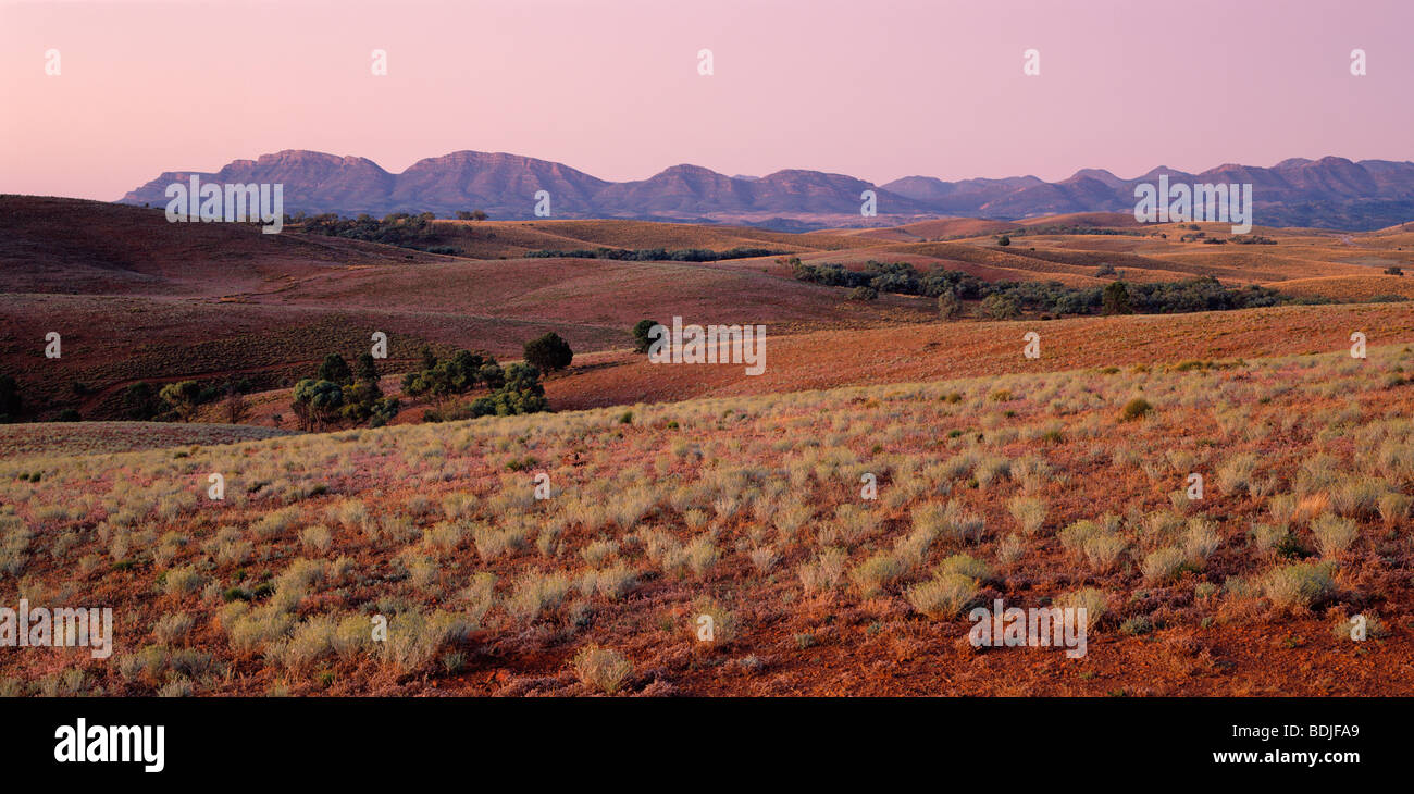 Landschaft, Flinders Ranges, Wilpena Pound, Australien Stockfoto